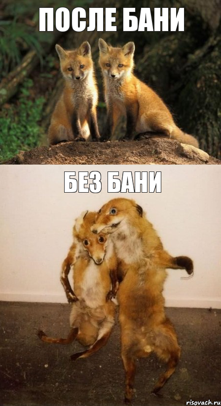 после бани без бани