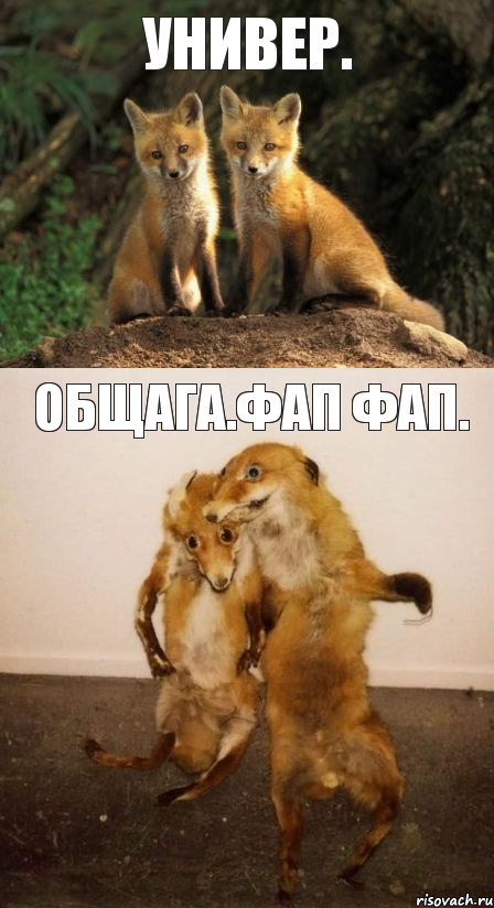 универ. общага.фап фап.