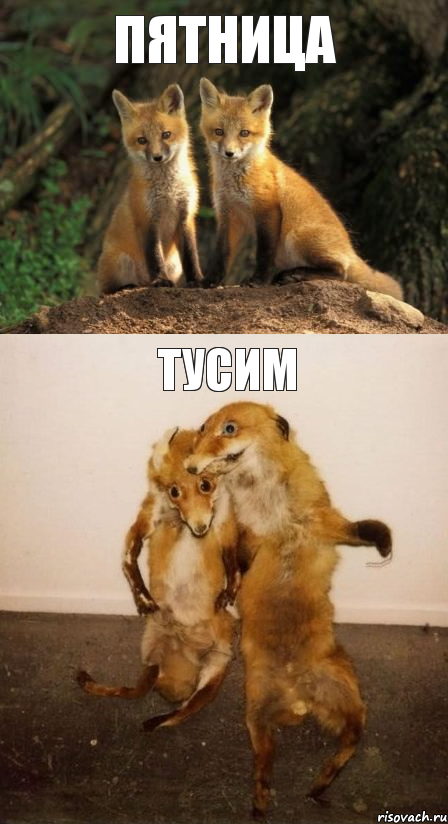 Пятница Тусим