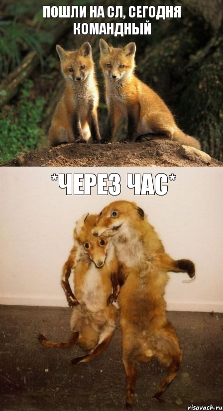 Пошли на сл, сегодня командный *Через час*