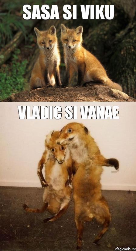 sasa si viku vladic si vanae