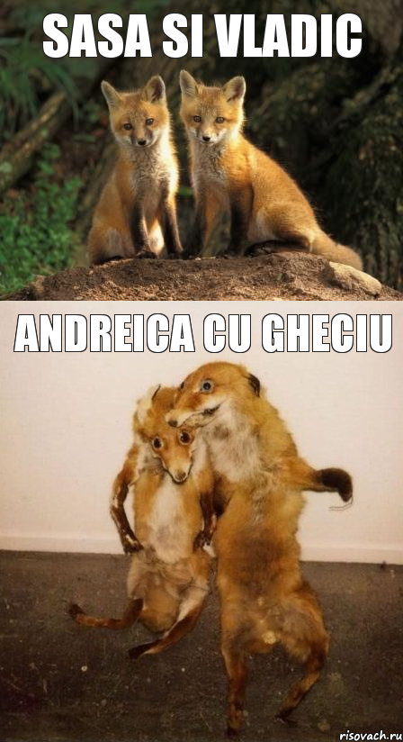 sasa si vladic andreica cu gheciu