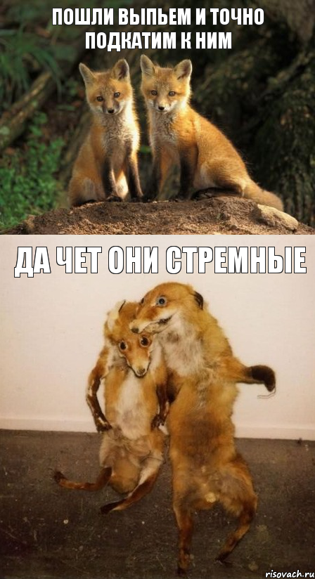 Пошли выпьем и точно подкатим к ним ДА чет они стремные