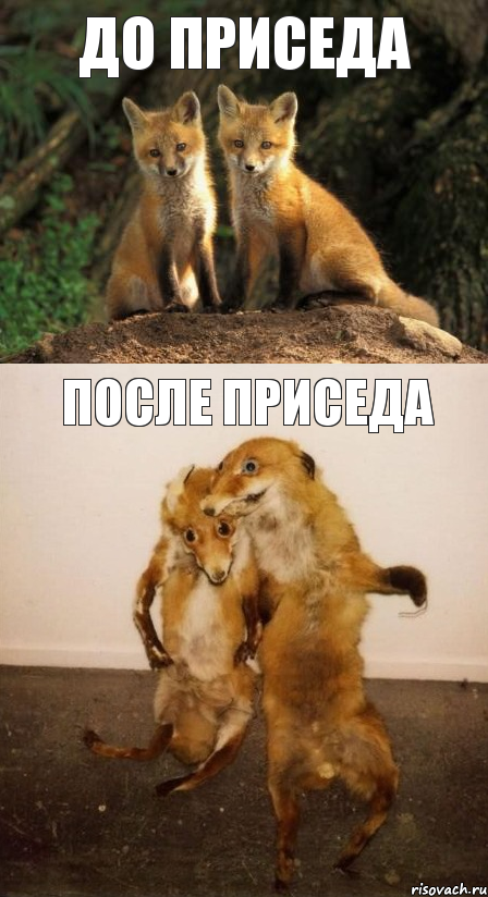 До приседа После приседа