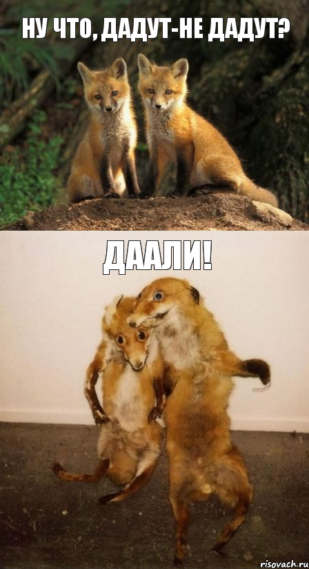 ну что, дадут-не дадут? даали!