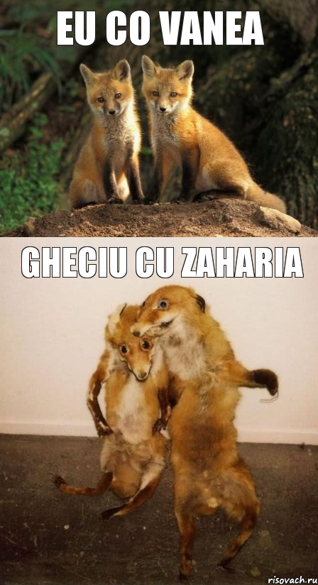 Eu co Vanea Gheciu cu zaharia