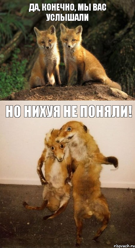 Да, конечно, мы вас услышали Но нихуя не поняли!