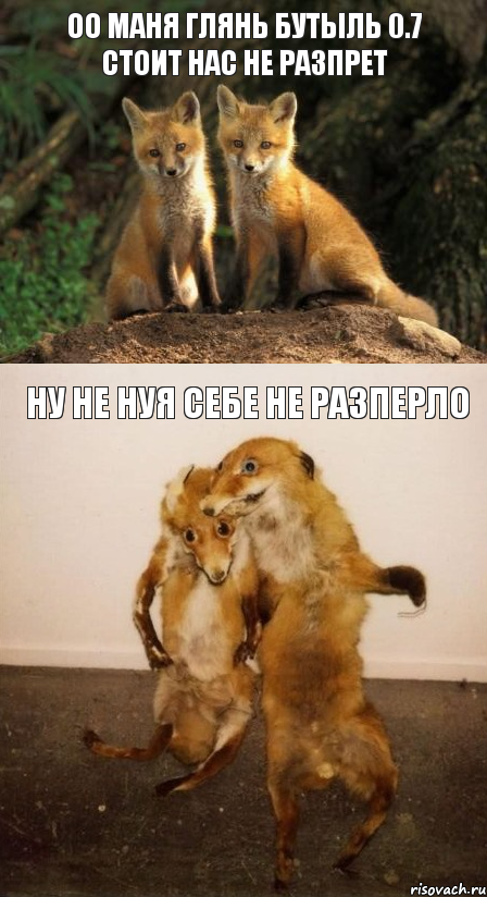 оО Маня глянь бутыль 0.7 стоит нас не разпрет Ну не нуя себе не разперло