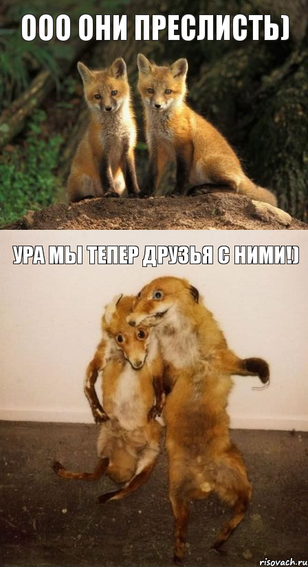 Ооо они преслисть) Ура мы тепер друзья с ними!)