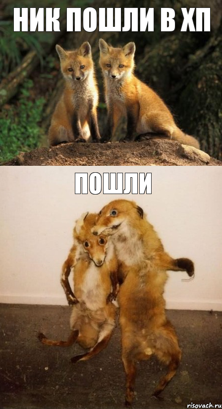 Ник пошли в хп пошли