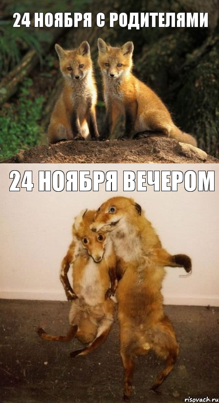 24 ноября с родителями 24 ноября вечером