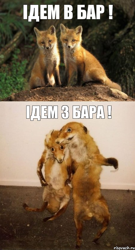 Ідем В Бар ! Ідем з Бара !