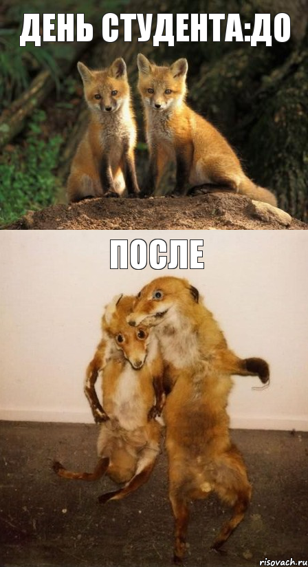 День студента:до после
