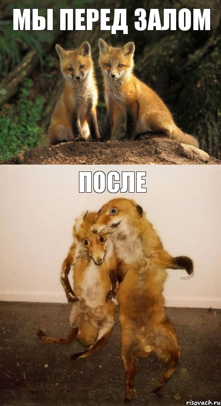 МЫ ПЕРЕД ЗАЛОМ ПОСЛЕ