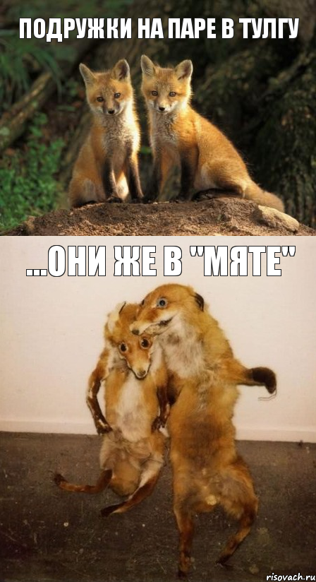 подружки на паре в ТулГУ ...они же в "Мяте"