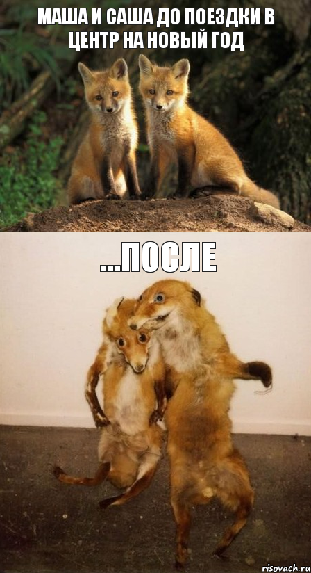 Маша и Саша до поездки в центр на Новый год ...после