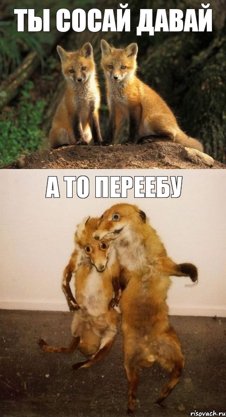 Ты сосай давай А то переебу