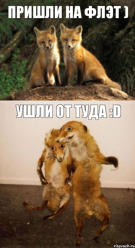 пришли на флэт ) ушли от туда :D