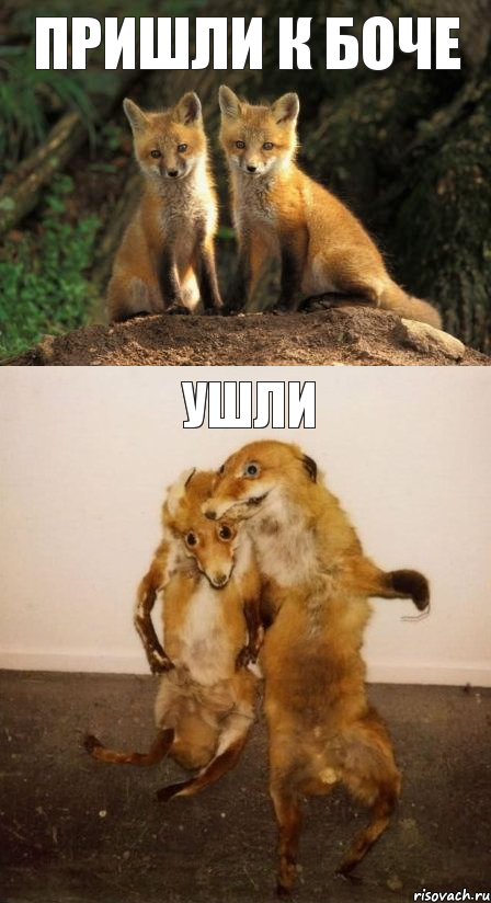Пришли к боче ушли