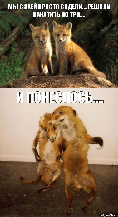 Мы с Заей просто сидели....решили накатить по три.... и понеслось....