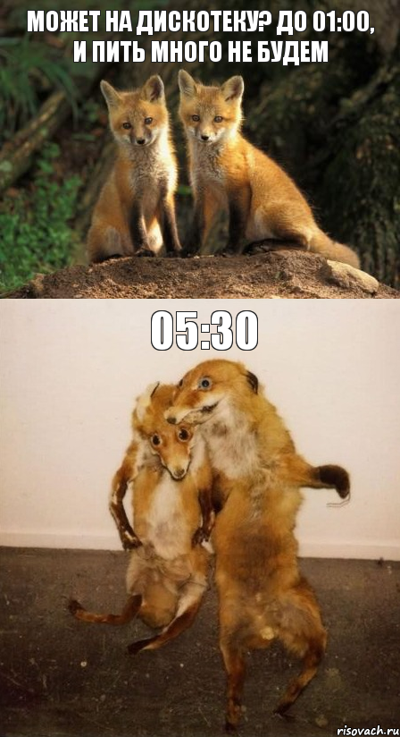 МОЖЕТ НА ДИСКОТЕКУ? ДО 01:00, И ПИТЬ МНОГО НЕ БУДЕМ 05:30