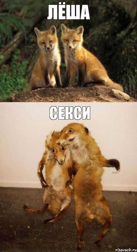 Лёша Секси