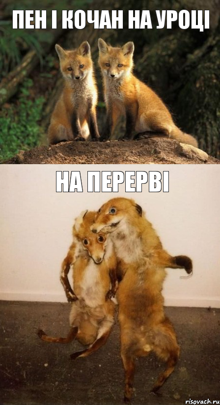 Пен і Кочан на уроці На перерві