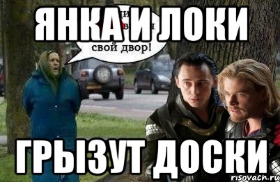янка и локи грызут доски