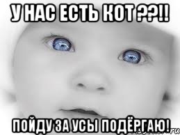 У нас есть кот ??!! Пойду за усы подёргаю!, Мем мальчик