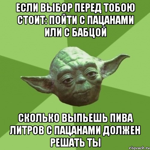 если выбор перед тобою стоит: пойти с пацанами или с бабцой сколько выпьешь пива литров с пацанами должен решать ты, Мем Мастер Йода