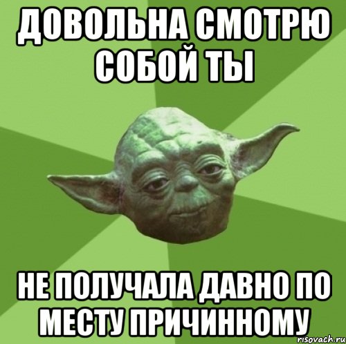 довольна смотрю собой ты не получала давно по месту причинному, Мем Мастер Йода