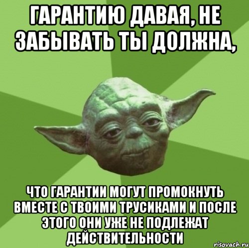 гарантию давая, не забывать ты должна, что гарантии могут промокнуть вместе с твоими трусиками и после этого они уже не подлежат действительности, Мем Мастер Йода