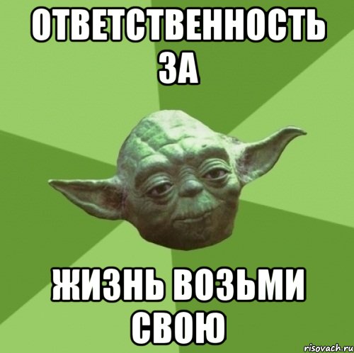 Ответственность за жизнь возьми свою, Мем Мастер Йода