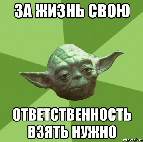 За жизнь свою ответственность взять нужно, Мем Мастер Йода