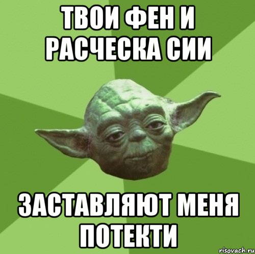 Твои фен и расческа сии Заставляют меня потекти, Мем Мастер Йода