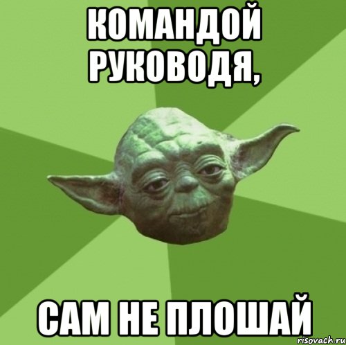 Командой руководя, сам не плошай, Мем Мастер Йода