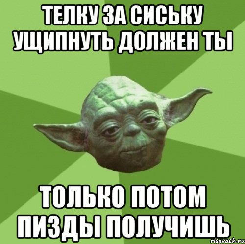 телку за сиську ущипнуть должен ты только потом пизды получишь, Мем Мастер Йода