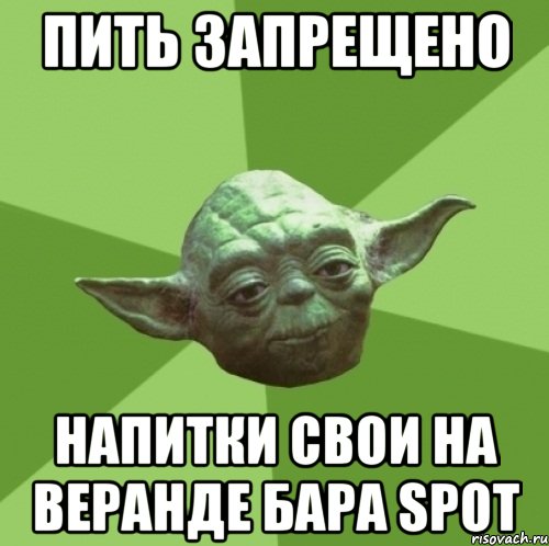 пить запрещено напитки свои на веранде бара Spot, Мем Мастер Йода