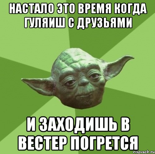 настало это время когда гуляиш с друзьями и заходишь в вестер погрется, Мем Мастер Йода