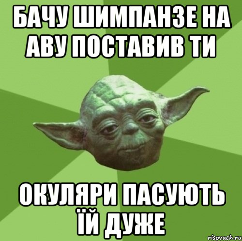 бачу шимпанзе на аву поставив ти окуляри пасують їй дуже, Мем Мастер Йода