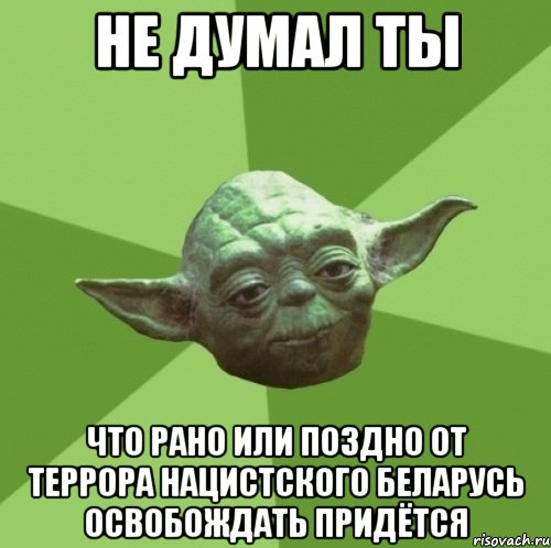 не думал ты что рано или поздно от террора нацистского Беларусь освобождать придётся, Мем Мастер Йода