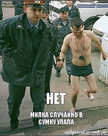 нет милка случайно в сумку упала, Комикс менты