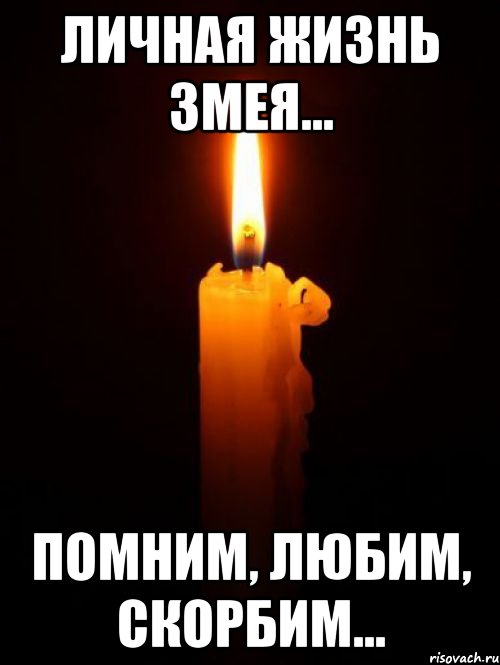 Личная жизнь Змея... Помним, любим, скорбим...