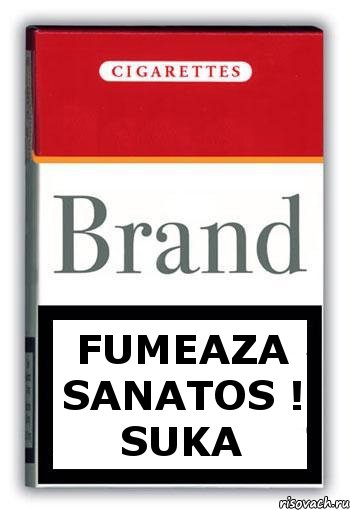 Fumeaza sanatos ! Suka, Комикс Минздрав