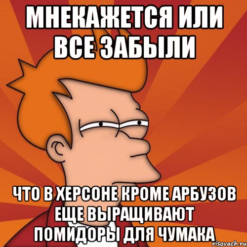 мнекажется или все забыли что в херсоне кроме арбузов еще выращивают помидоры для чумака, Мем Мне кажется или (Фрай Футурама)