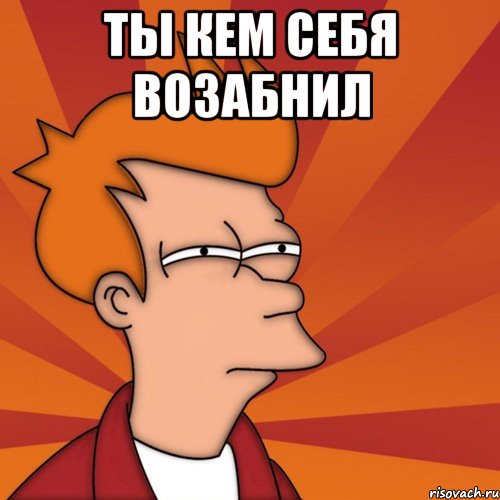 ты кем себя возабнил , Мем Мне кажется или (Фрай Футурама)