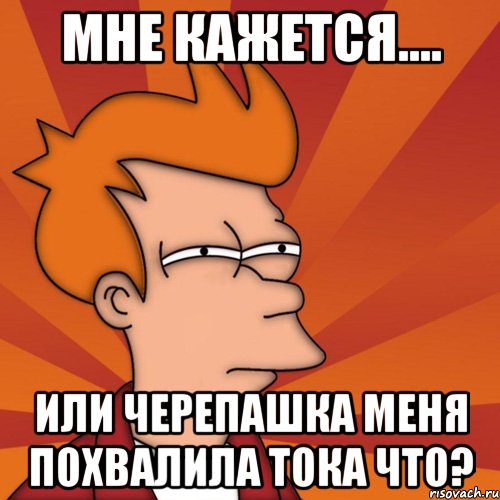 мне кажется.... или черепашка меня похвалила тока что?, Мем Мне кажется или (Фрай Футурама)