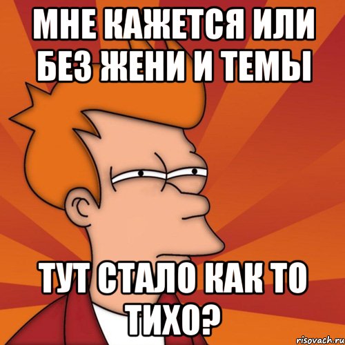 мне кажется или без жени и темы тут стало как то тихо?, Мем Мне кажется или (Фрай Футурама)