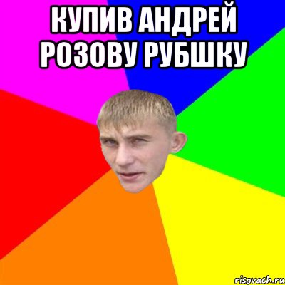 купив андрей розову рубшку 