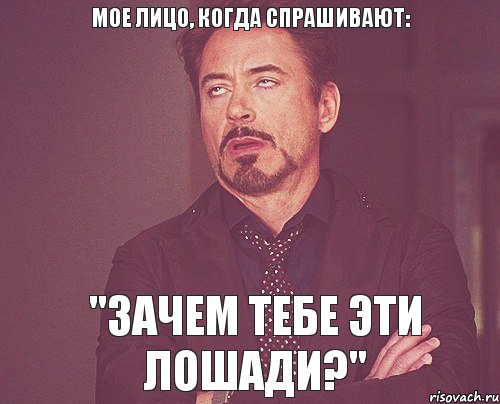 Мое лицо, когда спрашивают: "ЗАЧЕМ ТЕБЕ ЭТИ ЛОШАДИ?", Мем твое выражение лица